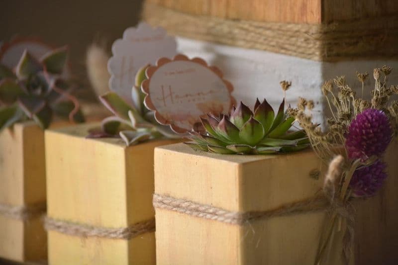 Floralia colección