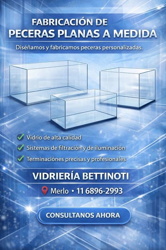 Bettinoti
