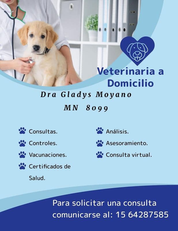 Dra. Gladys