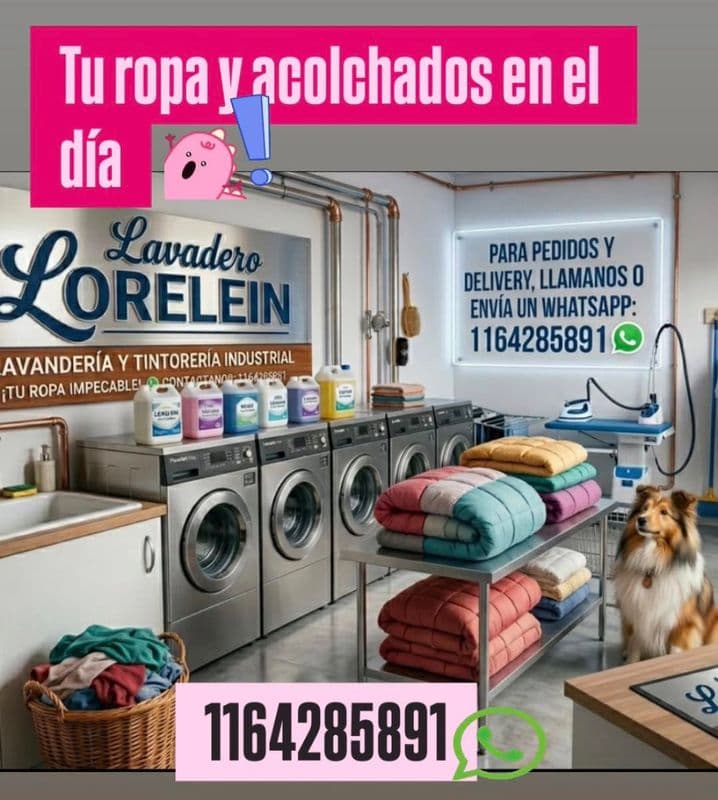 Lavadero Lorelein